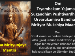 Maha Mrityunjaya mantra anlamı